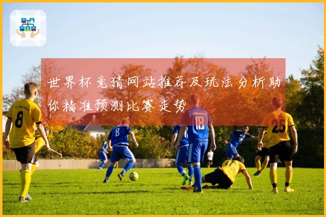 世界杯竞猜网站推荐及玩法分析助你精准预测比赛走势