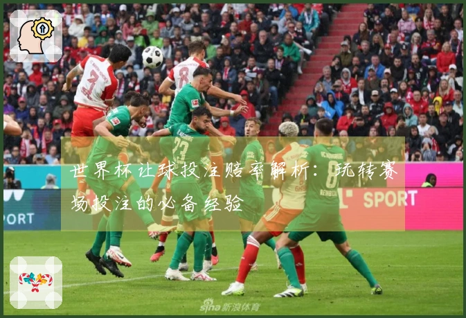 世界杯让球投注赔率解析：玩转赛场投注的必备经验