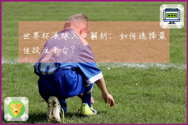 世界杯滚球入口解析：如何选择最佳投注平台？