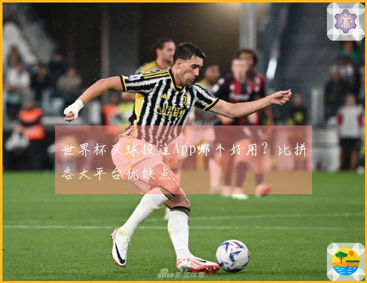 世界杯买球投注App哪个好用？比拼各大平台优缺点