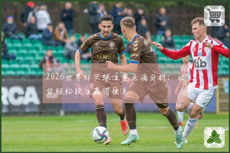 2026世界杯买球注重点滴分析：让你轻松投注赢得快乐