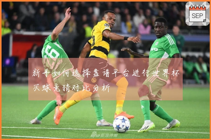 新手如何选择靠谱平台进行世界杯买球竞猜对比分析
